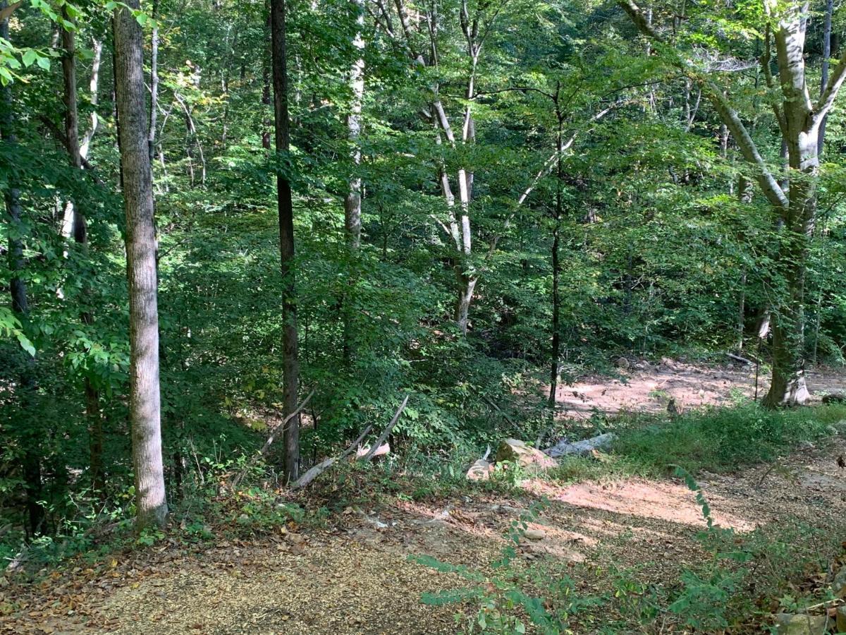 Coops Creek Cabins Dunlap 외부 사진